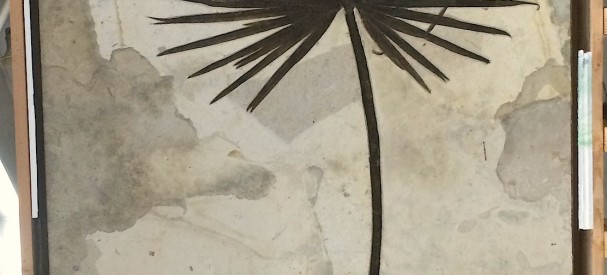 古代ヤシの葉の化石ボード